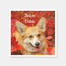 Pembroke Welsh Corgi Puppy Dog in Red Leaves