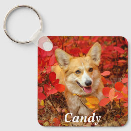 Pembroke Welsh Corgi Puppy Dog in Red Leaves Sleutelhanger