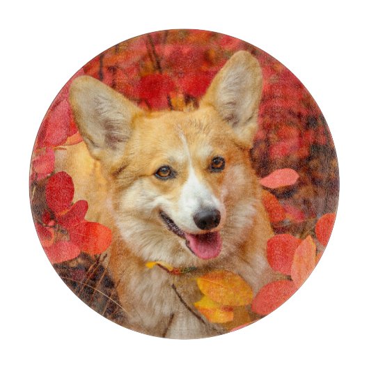 Pembroke Welsh Corgi Puppy Dog in Red Leaves Snijplank (Voorkant)