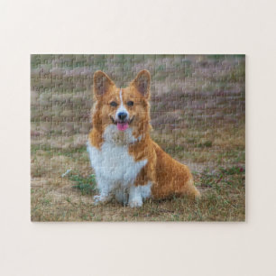 Pembroke Welsh Corgi Puppy Dog puzzel Legpuzzel