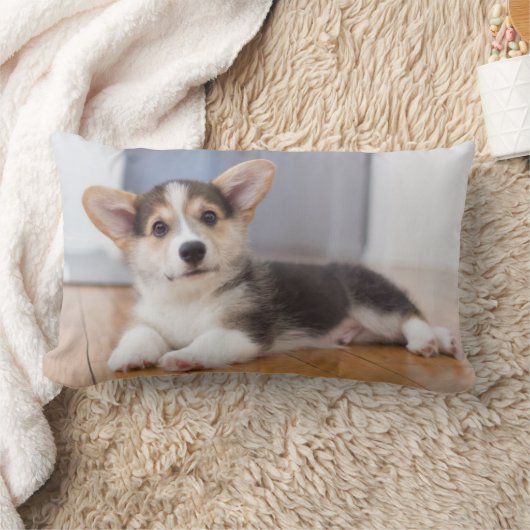 Pembroke Welsh Corgi Puppy Kussen (Deken)