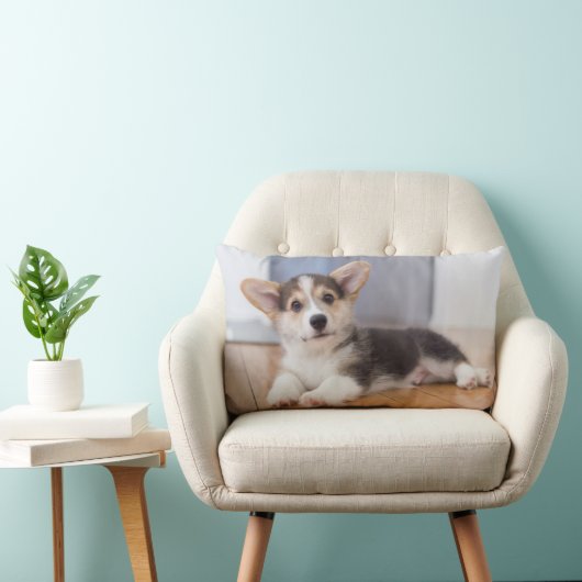 Pembroke Welsh Corgi Puppy Kussen (Stoel)