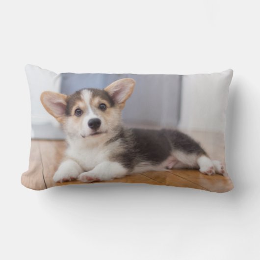 Pembroke Welsh Corgi Puppy Kussen (Voorkant)