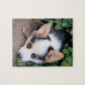 Pembroke Welsh Corgi Puppy Legpuzzel (Horizontaal)