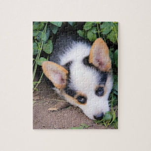Pembroke Welsh Corgi Puppy Legpuzzel