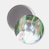 Pembroke Welsh Corgi Puppy Magneet (Voorkant / Achterkant)