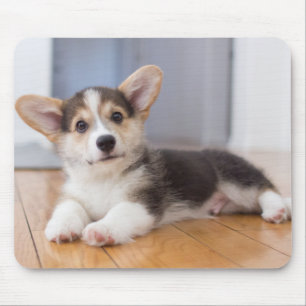 Pembroke Welsh Corgi Puppy Muismat