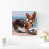 Pembroke Welsh Corgi puppy op tafel Vierkante Klok (Huis)