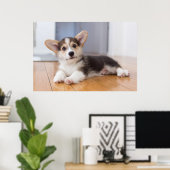 Pembroke Welsh Corgi Puppy Poster (Thuiskantoor)