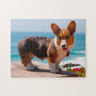 Pembroke Welsh Corgi puppy staand op tafel Legpuzzel