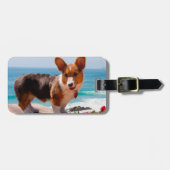 Pembroke Welsh Corgi puppy standing on table Bagagelabel (Voorkant horizontaal)