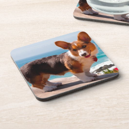 Pembroke Welsh Corgi puppy standing on table Bier Onderzetter (Linkerzijde)