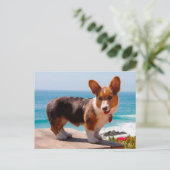 Pembroke Welsh Corgi puppy standing on table Briefkaart (Staand voorkant)