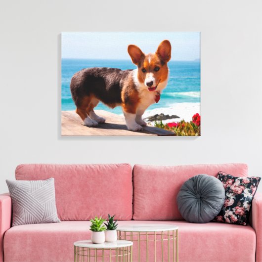Pembroke Welsh Corgi puppy standing on table Canvas Afdruk (Insitu (Woonkamer))