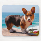 Pembroke Welsh Corgi puppy standing on table Muismat (Voorkant)