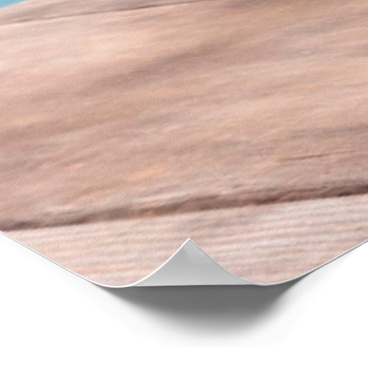 Pembroke Welsh Corgi puppy standing on table Poster (Hoek)