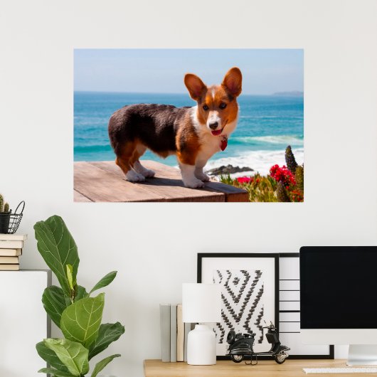 Pembroke Welsh Corgi puppy standing on table Poster (Thuiskantoor)