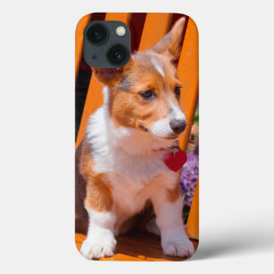 Pembroke Welsh Corgi puppy zit in de parkbank iPhone 13 Hoesje