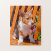 Pembroke Welsh Corgi puppy zit in de parkbank Legpuzzel (Verticaal)