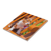 Pembroke Welsh Corgi puppy zit in de parkbank Tegeltje (Zijkant)