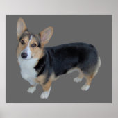 Pembroke Welsh Corgi Soulful Print (Voorkant)