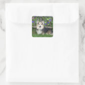 Pembroke Welsh Corgi Stickers (Tas)