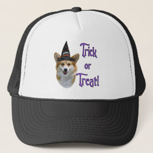 Pembroke Welsh Corgi Trick Trucker Pet