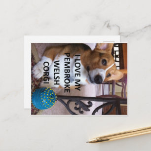 pembroke welsh corgi vaal liefde w foto briefkaart