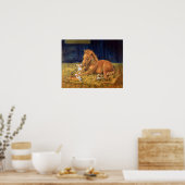 Pembroke Welsh Corgi Wall Print (Keuken)