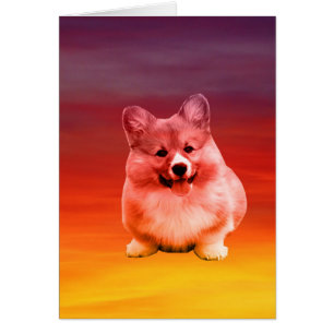 Pembroke Welsh Corgi zittend op het strand