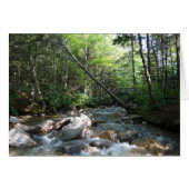 Pemigewasset River Bridge in New Hampshire (Voorkant Horizontaal)