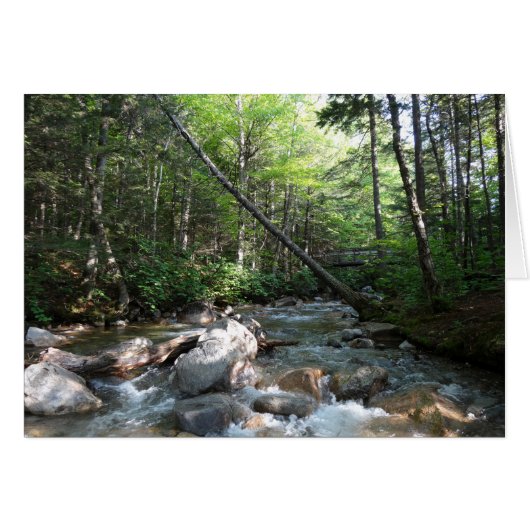 Pemigewasset River Bridge in New Hampshire (Voorkant Horizontaal)