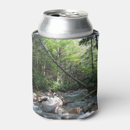 Pemigewasset River Bridge in New Hampshire Blikjeskoeler (Blikje Voorkant)