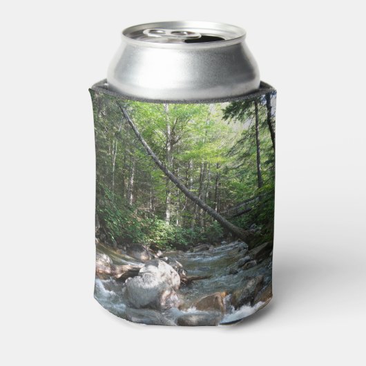 Pemigewasset River Bridge in New Hampshire Blikjeskoeler (Blikje Achterkant)