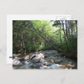 Pemigewasset River Bridge in New Hampshire Briefkaart (Voorkant / Achterkant)