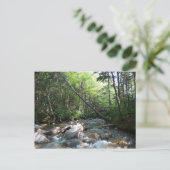 Pemigewasset River Bridge in New Hampshire Briefkaart (Staand voorkant)
