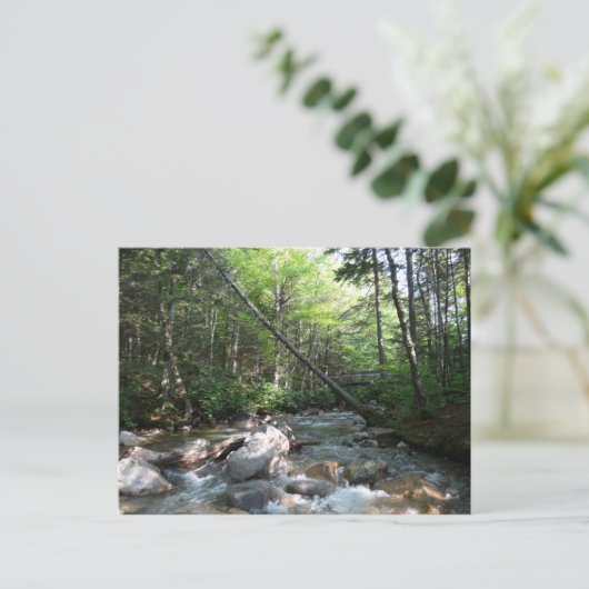 Pemigewasset River Bridge in New Hampshire Briefkaart (Staand voorkant)