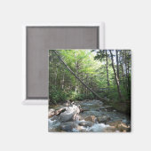 Pemigewasset River Bridge in New Hampshire Magneet (Voorkant / Achterkant)