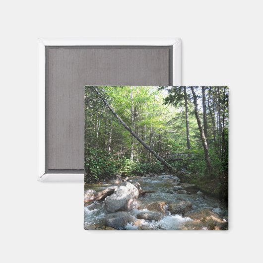 Pemigewasset River Bridge in New Hampshire Magneet (Voorkant / Achterkant)
