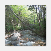 Pemigewasset River Bridge in New Hampshire Magneet (Voorkant)