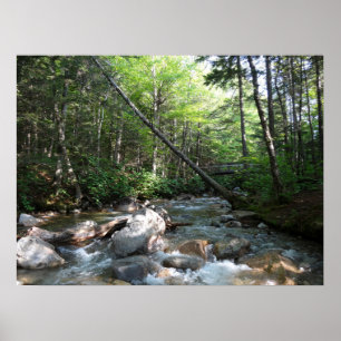 Pemigewasset River Bridge in New Hampshire Poster