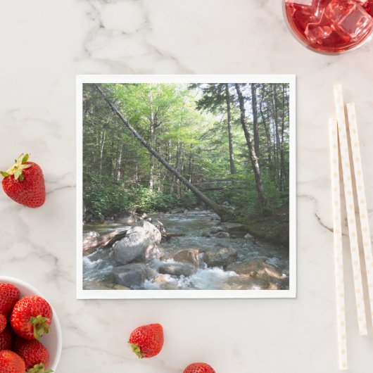 Pemigewasset River Bridge in New Hampshire Servet (Insitu)