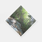 Pemigewasset River Bridge in New Hampshire Servet (Hoek)