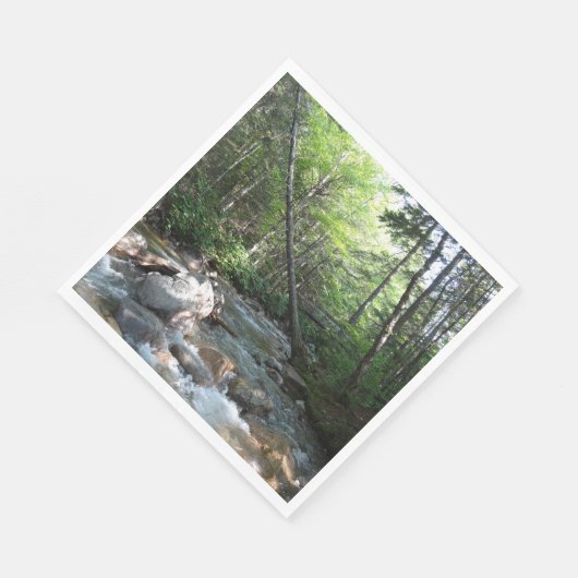 Pemigewasset River Bridge in New Hampshire Servet (Hoek)