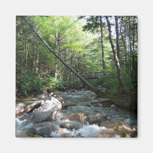 Pemigewasset rivierbrug in New Hampshire Magneet
