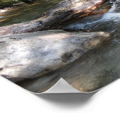 Pemigewasset rivierbrug in New Hampshire Poster (Hoek)