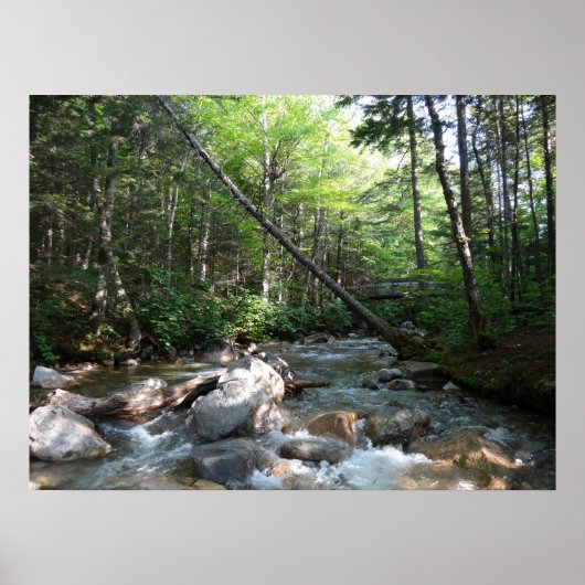 Pemigewasset rivierbrug in New Hampshire Poster (Voorkant)