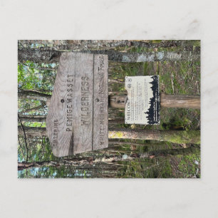 Pemigewasset Wilderness-ansichtkaart Briefkaart