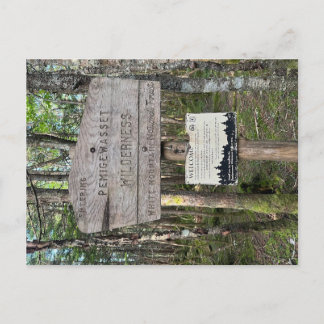 Pemigewasset Wilderness-ansichtkaart Briefkaart