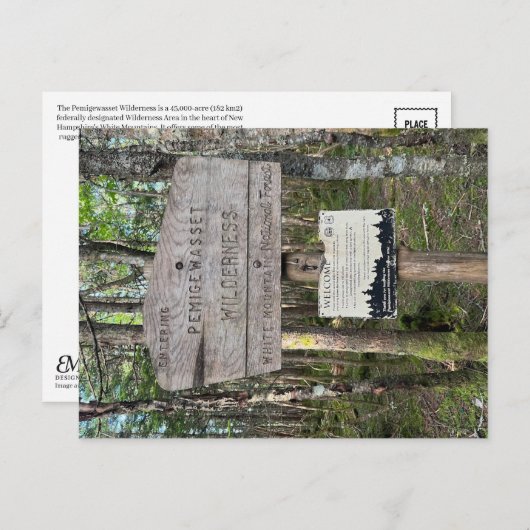 Pemigewasset Wilderness Postcard Briefkaart (Voorkant / Achterkant)
